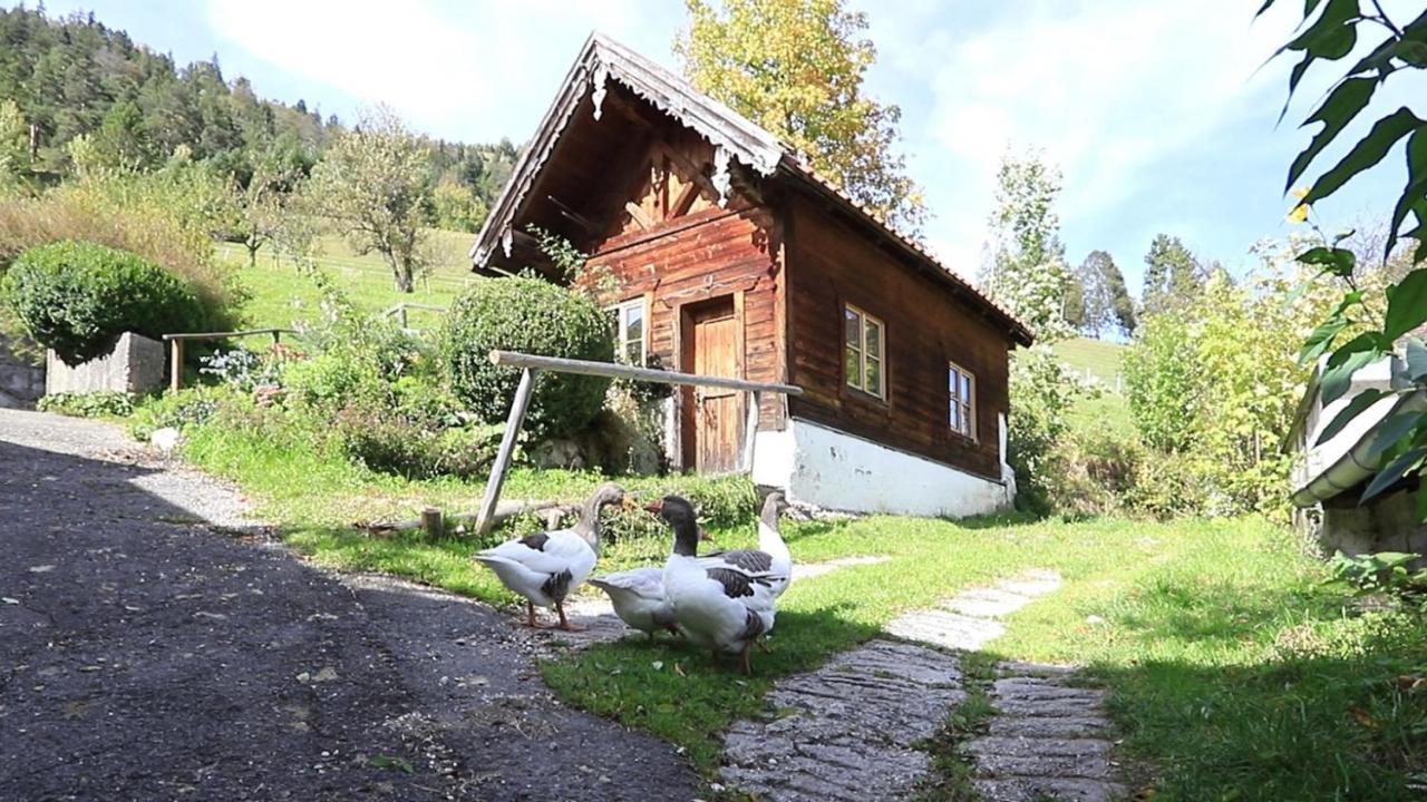 Haus Holler Leilighet Wallgau Eksteriør bilde
